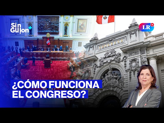 ROSA MARÍA PALACIOS EXPLAINS HOW CONGRESS WORKS | SIN GUION WITH ROSA MARÍA PALACIOS