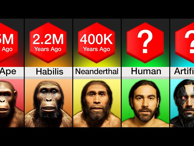 Human Evolution Timeline