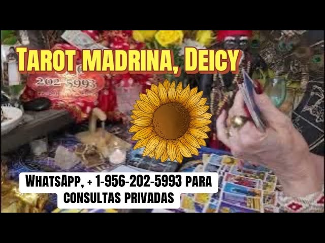 Leo ♌️ A veces necesitas estar solo o sola para tomar decisiones y tienes mucho que pensar…