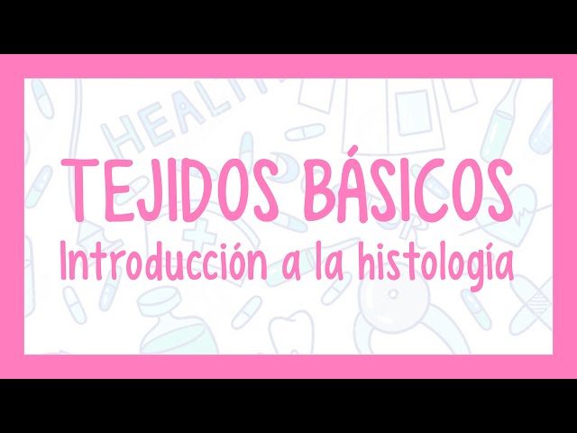 TEJIDOS BÁSICOS | ¡Fácil explicación! (Histología)