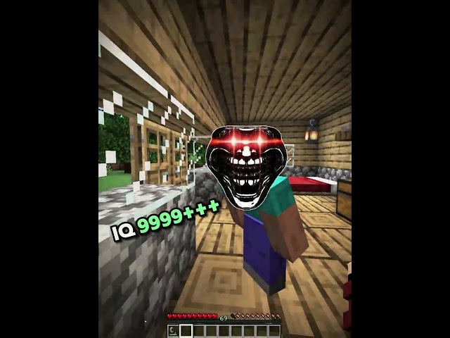 Minecraft meme