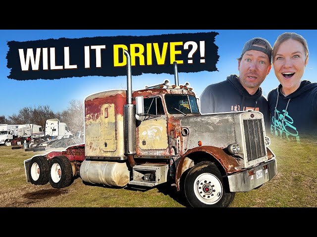 Will it DRIVE? Our 1984 359 Peterbilt REVIVAL!
