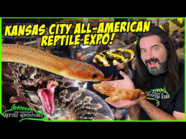What REPTILES still blow me away after all this time?