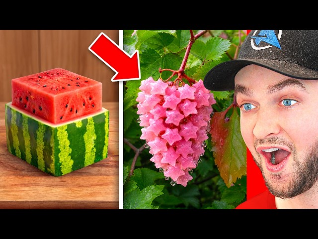 Cool Things That ONLY Exist in Japan!