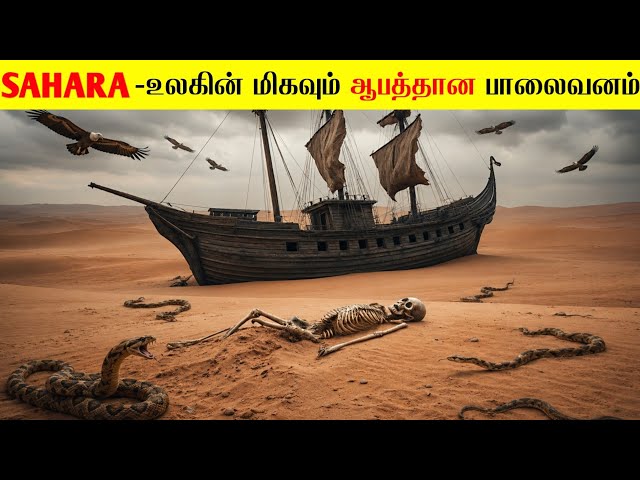 1000 ஆண்டுகளுக்கு முன் சகாரா பாலைவனம் எப்படி இருந்தது⁉️| Sahara Desert Documentry | @MrX_76
