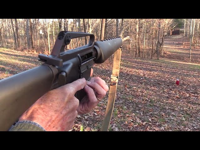 M16A1 Rango 2