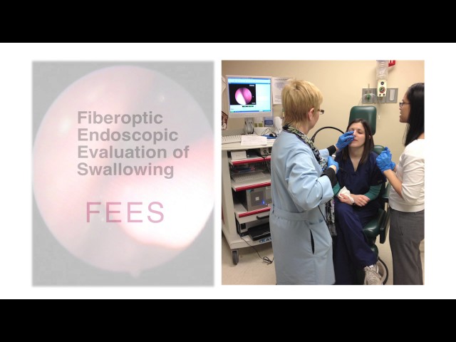 Speech-language pathologists at Loyola Medicine