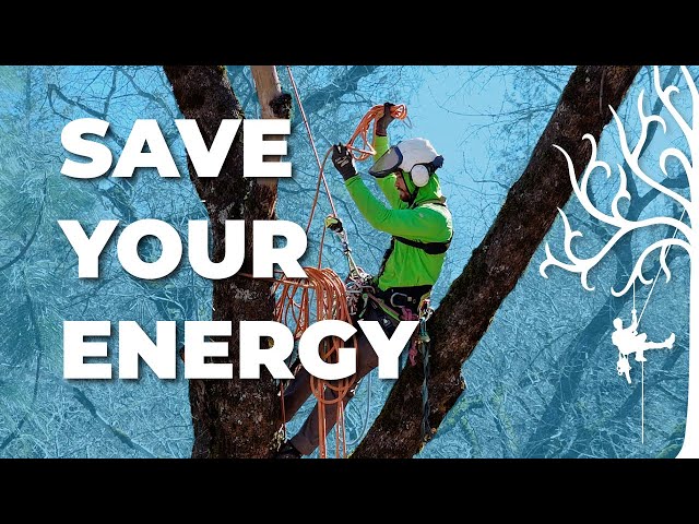Rope Tricks for Tree Climbers:
