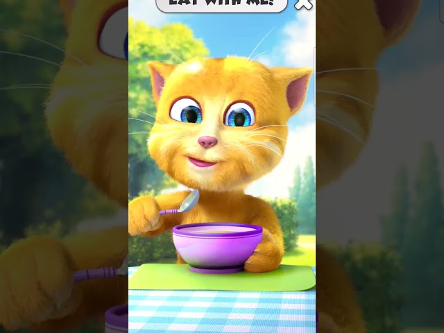 Talking Ginger Eating Soup 🍲😋😻