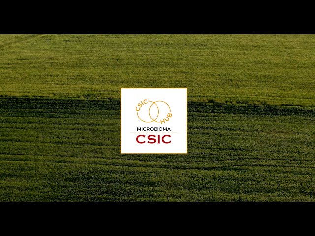 Microbiome CSIC Hub: Where Science Connects with Life