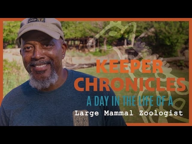 A Day in the Life of a LARGE MAMMAL ZOOLOGIST