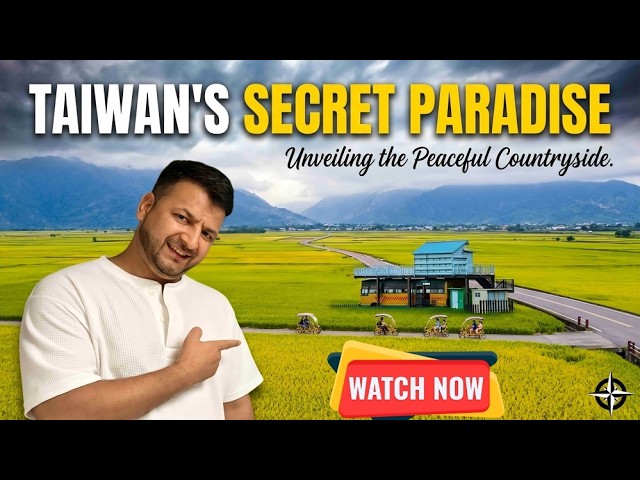 Rice Fields of Taiwan 🚁 Not every paradise is famous 🌾Peaceful Taiwan Countryside