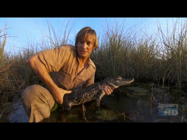 Austin Stevens - Giant Python Invader