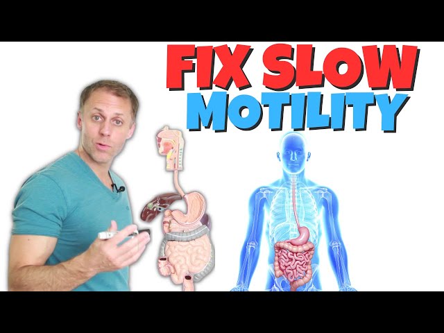 Understanding Slow Motility