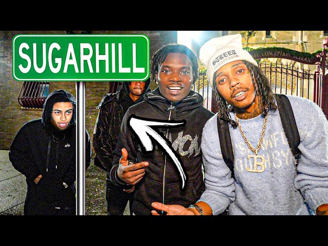 I Took Dthang To SugarHill For His First Day Back In Nyc…