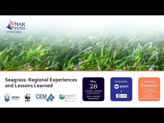 Seagrass: Regional Experiences and Lessons Learned