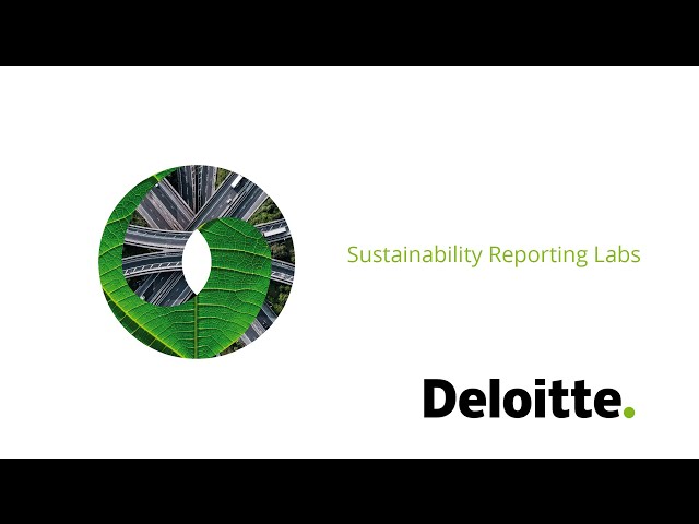 Deloitte Sustainability reporting Labs
