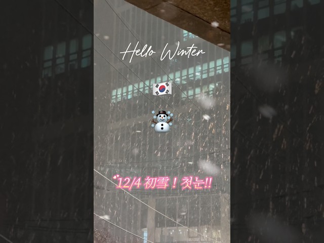 （JP/KR）韓国　初雪！？#初雪  #첫눈 #snow #워홀 #외노자