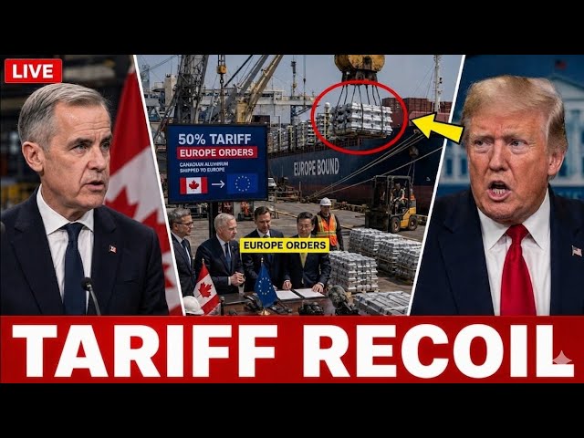 Europe Rushes to Canada for Aluminum After Trump’s 50% Tariff Shakes the Market!