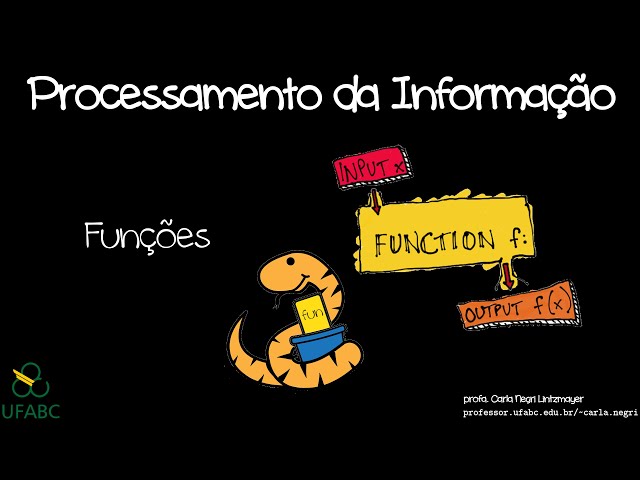 PI - Funções em Python e Debug com Spyder