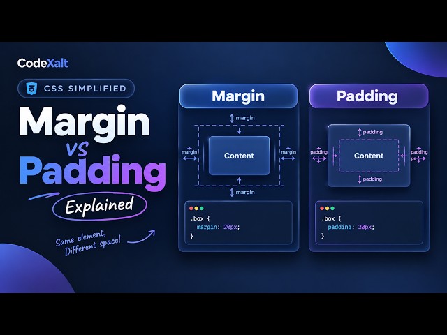 CSS Margin vs Padding — All You Need is Just this Video