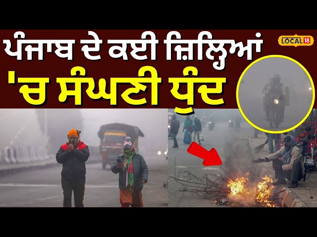 Punjab Weather Update | ਪੰਜਾਬ ਦੇ ਕਈ ਜ਼ਿਲ੍ਹਿਆਂ 'ਚ ਸੰਘਣੀ ਧੁੰਦ | Dense Fog | #local18