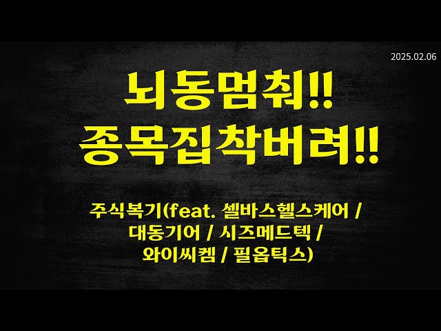 20250206 주식복기 뇌동매매 그만!! 셀바스헬스케어 / 대동기어 / 시지메드텍 / 와이씨켐 / 필옵틱스