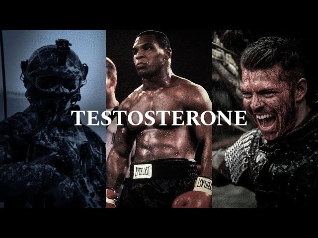 30 Minutes of PURE TESTOSTERONE - The Most Powerful Motivational Speech Compilation