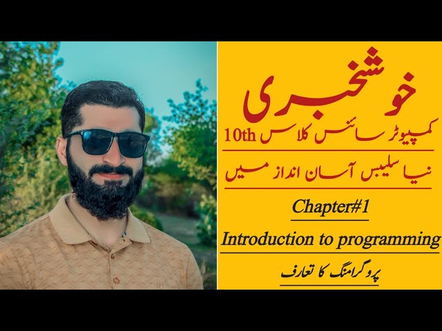 Introduction to Programming in hindi/urdu | 10th class computer science new book chapter 1 | #LL