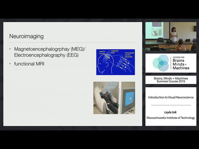 Brains, Minds and Machines Summer Course - MIT - Tutorial 1