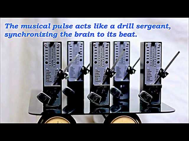 Entrainment and Rhythm
