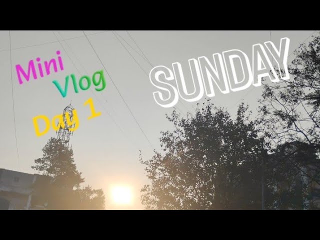 Mini vlog Day 1.              #study #vlog 