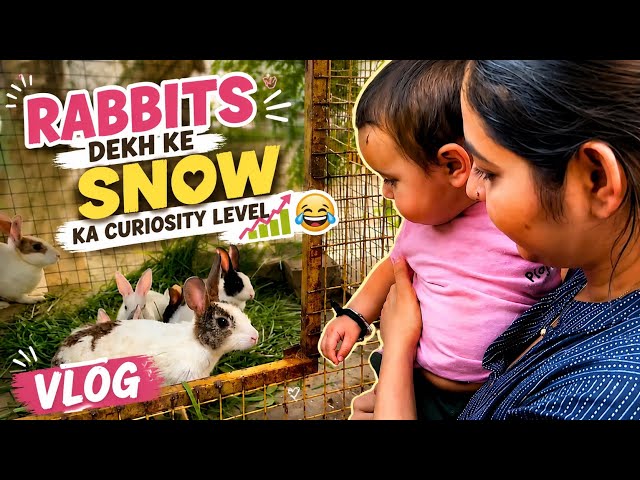 Snow's curiosity level after seeing rabbits 📈😂