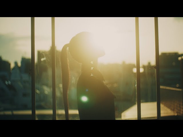 Sincere - Sedum (Official Video)