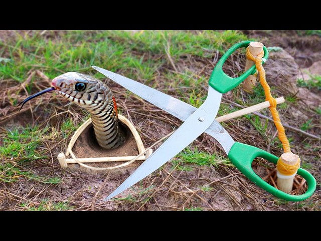 Amazing! SMART idea and USEFUL with DIY Big Python trap#bushcraft #camping #Outdoors #useful #shorts
