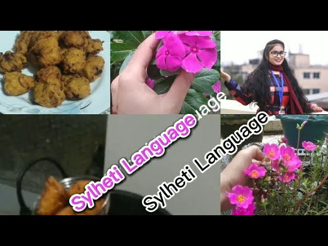 Sylheti Language. Learn Sylheti Language with Moyna