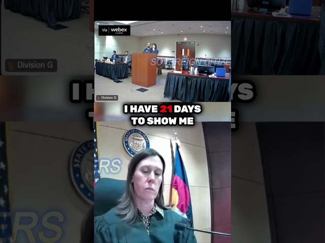 This Sovereign Citizen actually tried this in court! #sovcit #courtroom