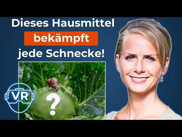 VR Podcast | Schnecken sind ein großes Problem für JEDEN Garten! (Interview mit Angelika Ertl)