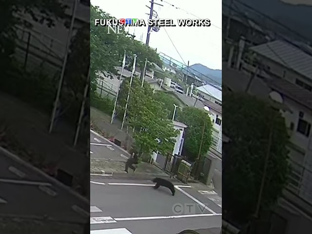 Video shows the moment a bear attacks a man walking in Japan