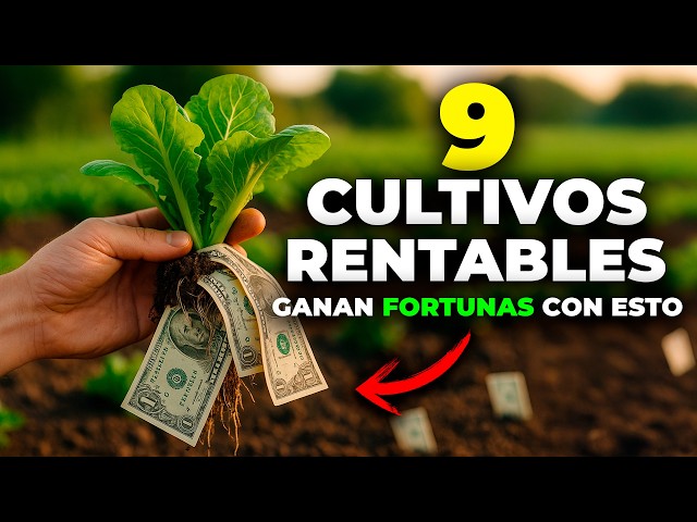 9 Crops That Make a Lot of Money (and Almost Nobody Takes Advantage of Them)
