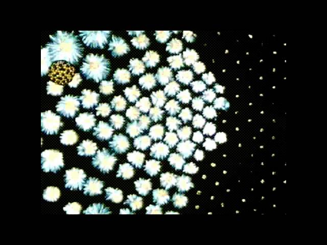 Nuclear chain reaction explained in 60 seconds
