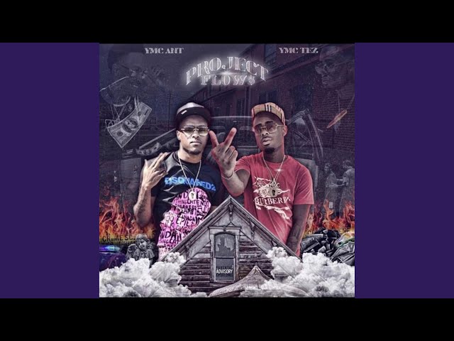 Project Flows