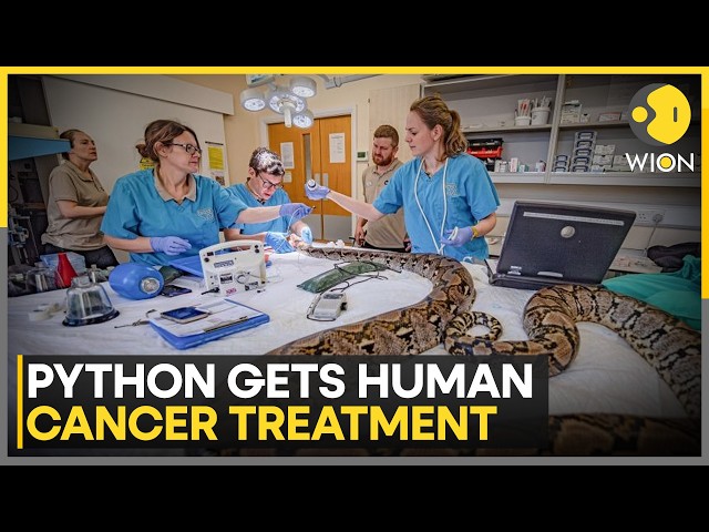 Jodie Foster The Python Makes History With Human Cancer Treatment | WION