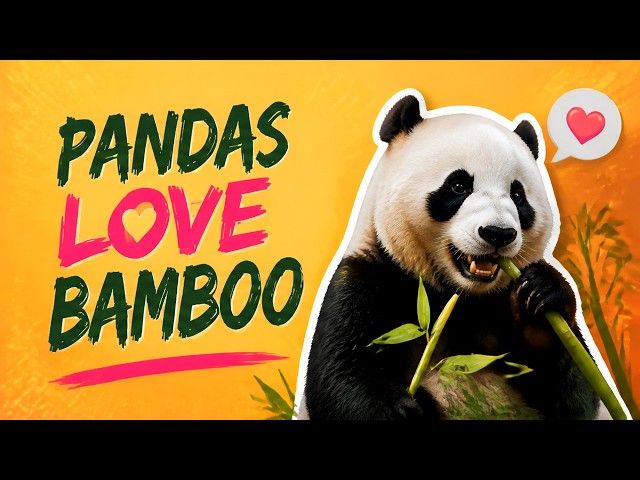 Why Pandas Love Bamboo?