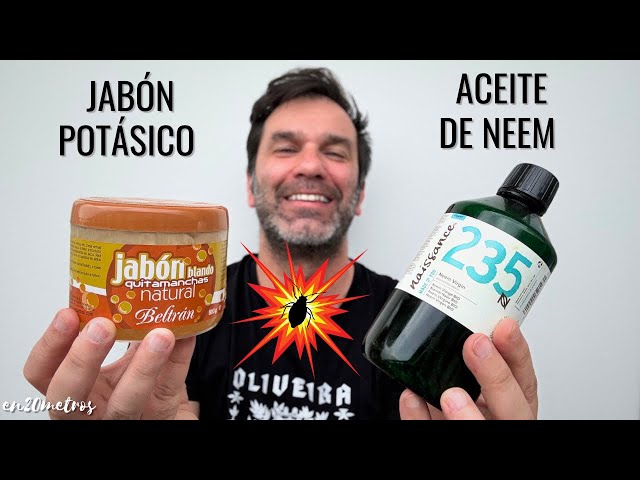ASÍ TIENES QUE USAR JABÓN POTÁSICO CON ACEITE DE NEEM: insecticida ecológico eficaz || en20metros
