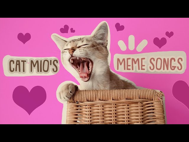 Best Cat Mio's Meme Musics #trending #remix #cat #meme