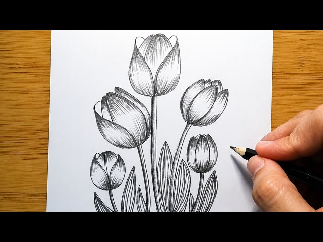 🌷How to Draw a Tulip Flower | Easy Tulip Drawing Tutorial for Beginners