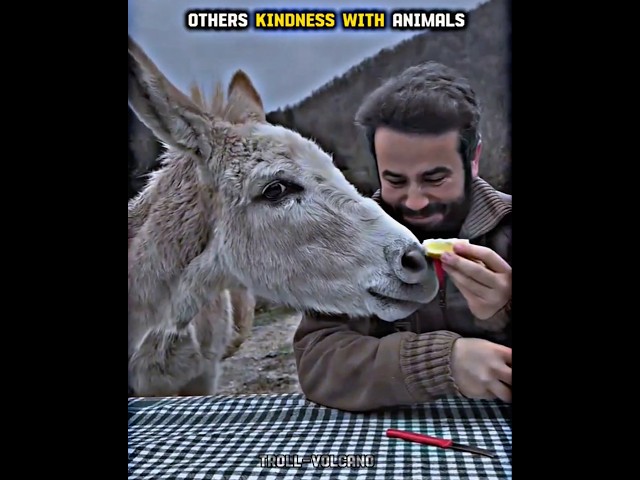 Others Kindness With Animals V's Last One 💀😈#edit #troll #madina#islam