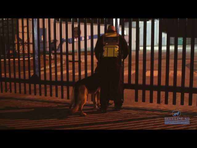 Blueline K9 Security Services (UK) Ltd