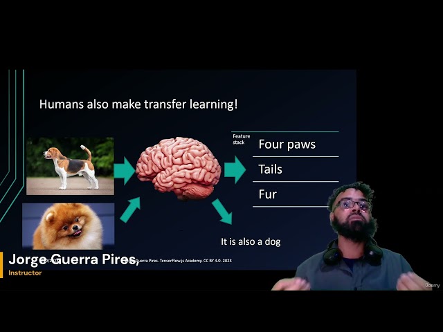 Humanos também praticam aprendizado por transferência | Aprendizado por Transferência no Angular ...